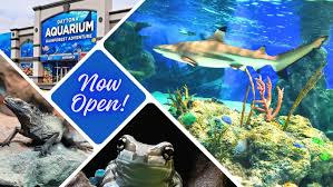 sign of daytona aquarium now open