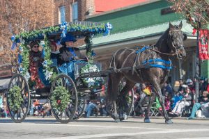 Horses Sleigh Ride