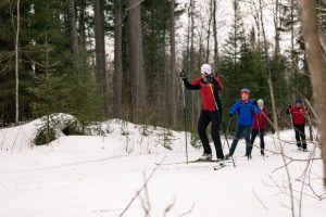 Winter Snow Skiing