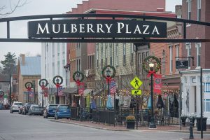 Mulberry Plaza