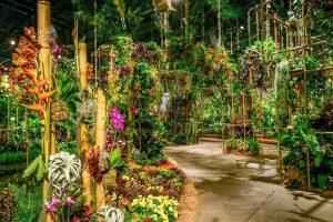Pennsylvania Flower Show