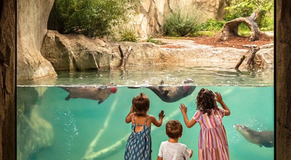 three children peering through glass at underwater animals 