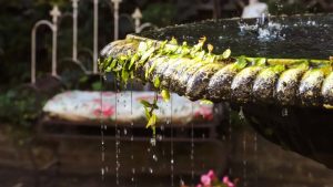 Close up of water dripping off the edge of a fountain in a garden