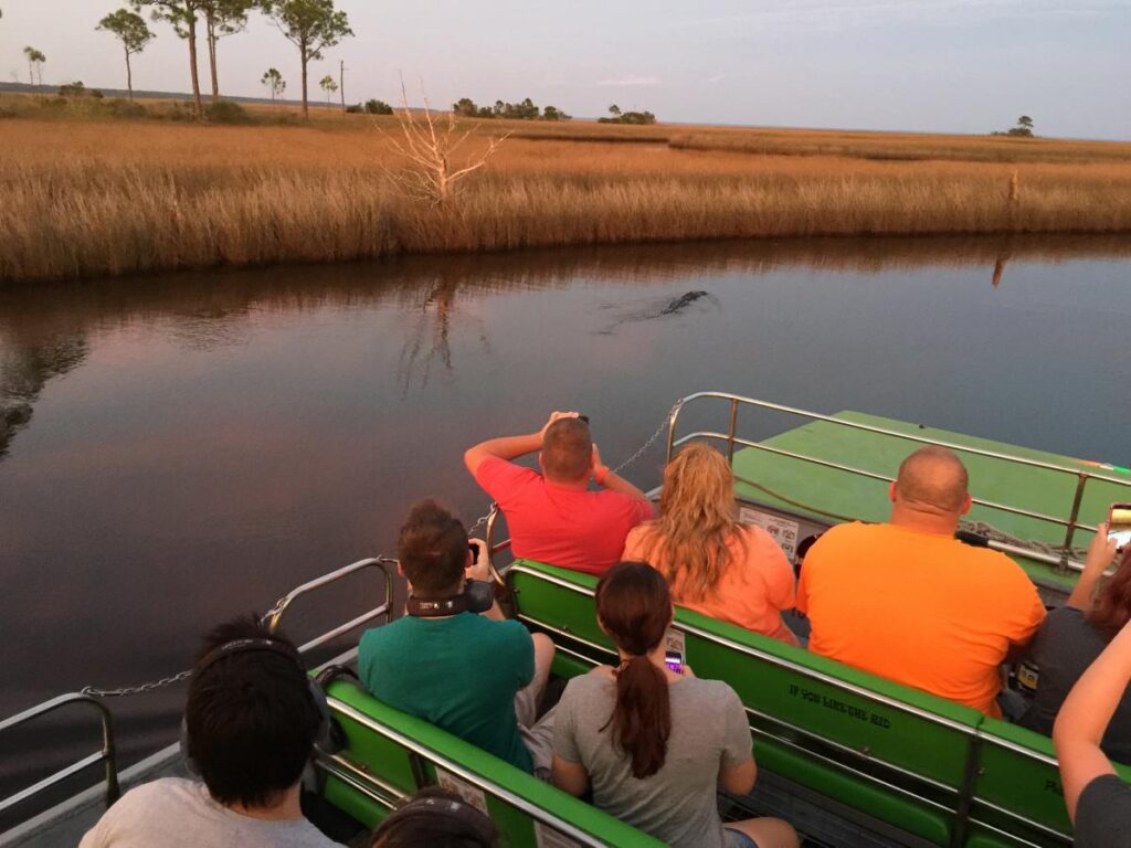 the backside of 5 adults on an airboat taking in the scenery of water along the edge of land