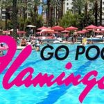 Flamingo GO Pool