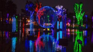 Christmas lights at the Phoenix Zoo