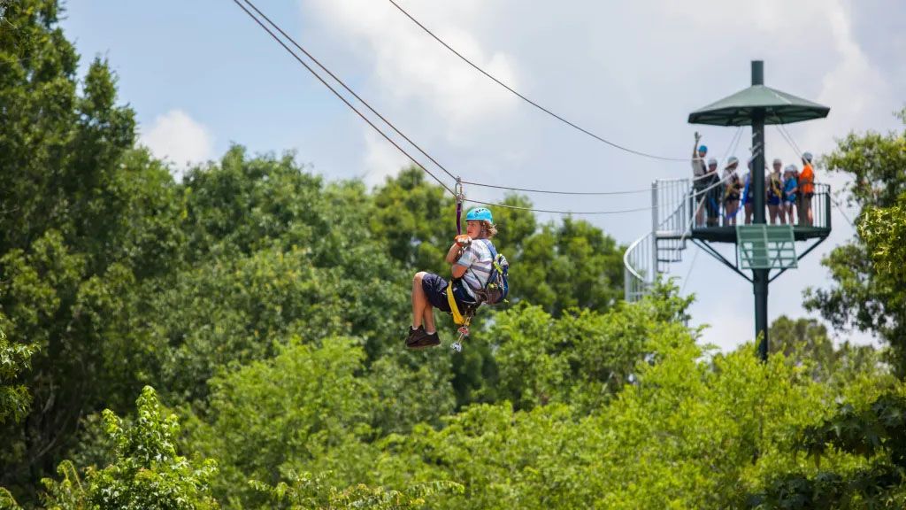 Gators and Friends Zipline