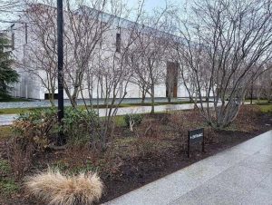 Exterior of Barnes Foundation