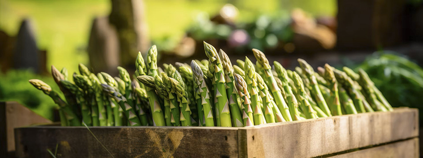 A wooden crate of asparagus