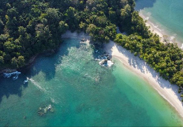 Aerial view of two beaches split by trees