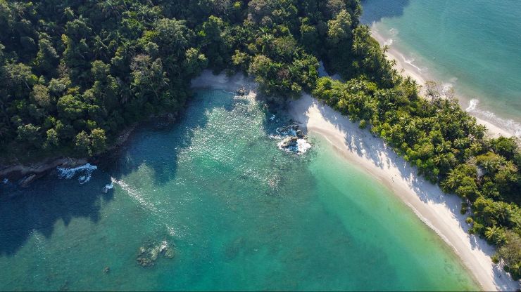 Aerial view of two beaches split by trees