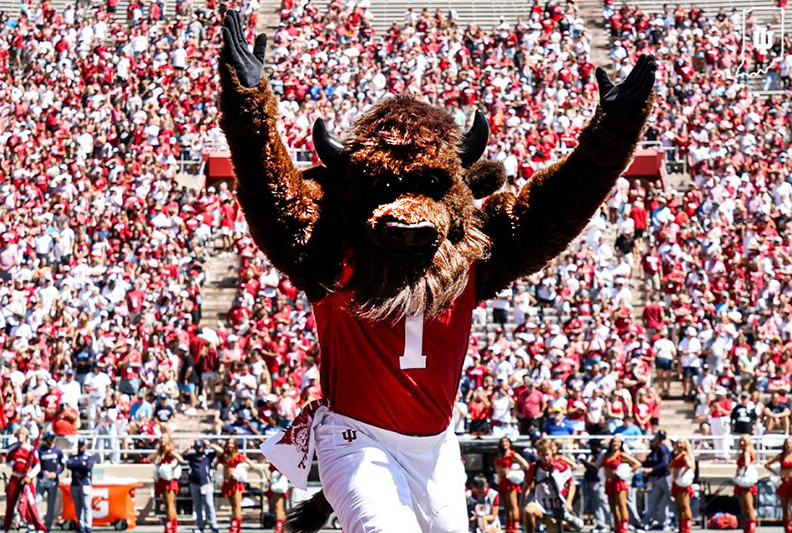 Hoosier the Bison