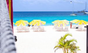 Barbados beach with beach chairs and yellow umbrellas 
