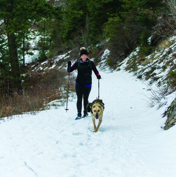 A person snowshoeing with a dog