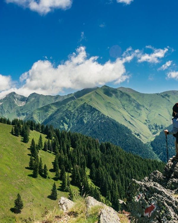 Hiker overlooking mountains