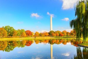 Constitution Gardens in the fall