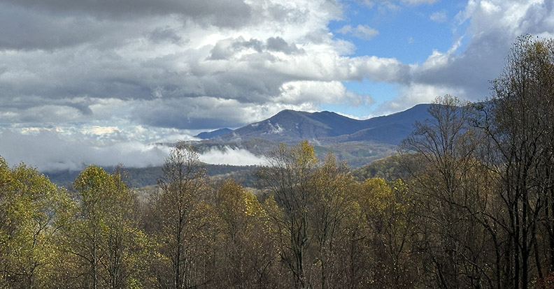 Smokey Mountians in the distance on a cloudy day with forest in the foreground