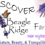 Beagle Ridge Herb Farm