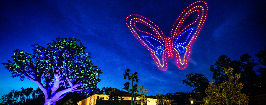 Night sky drone and firework show 