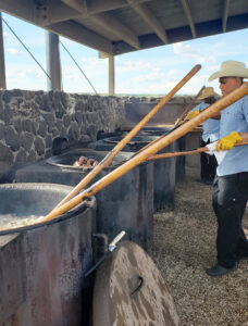 Someone making steaks using pitchforks