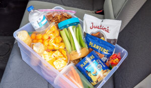 Packed road trip snacks
