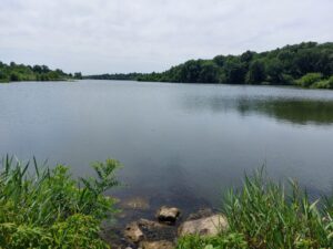 A lake on a cloudy day