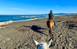 Riding horses along Mendocino coastline