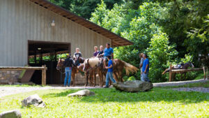 Sugarlands stables