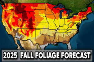 Fall Foliage map