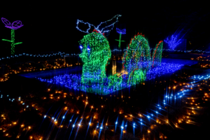 Garden of lights 