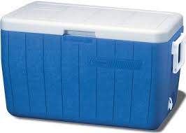 Cooler for food storage