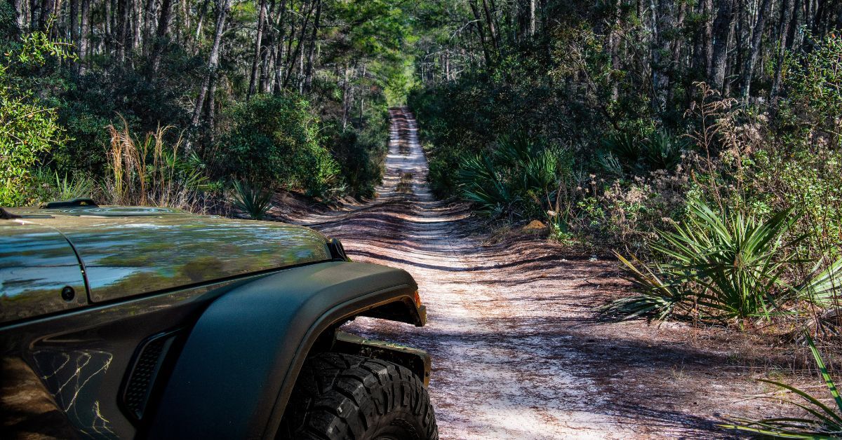 front of a jeep showing at left headed toward a dirt road