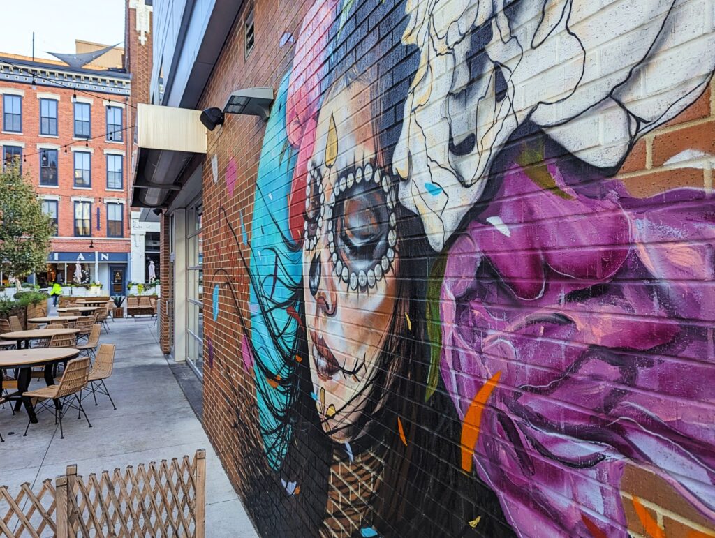 A painting of a modern face on a city outside wall of a building on a paved alley way