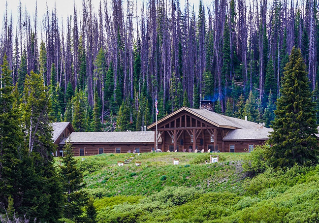 a western lodge with peaked roof in front of tall purple leafed trees out west