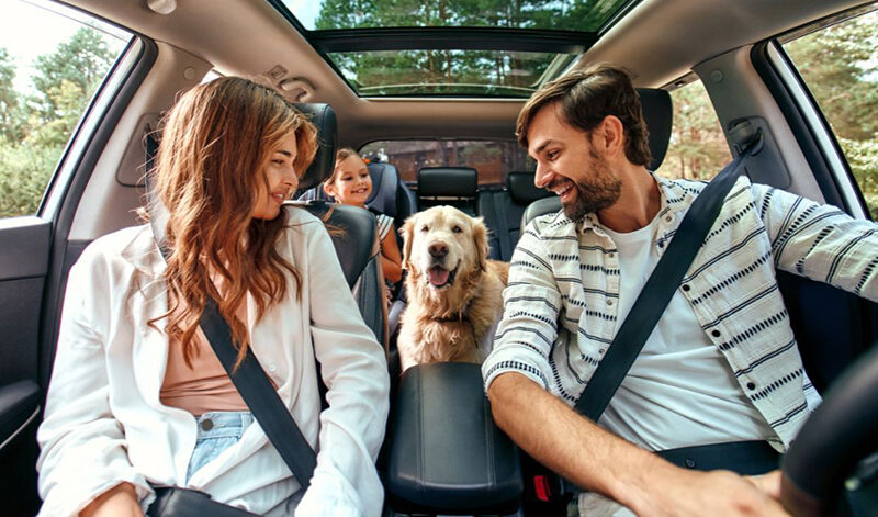 Family riding in car with their dog