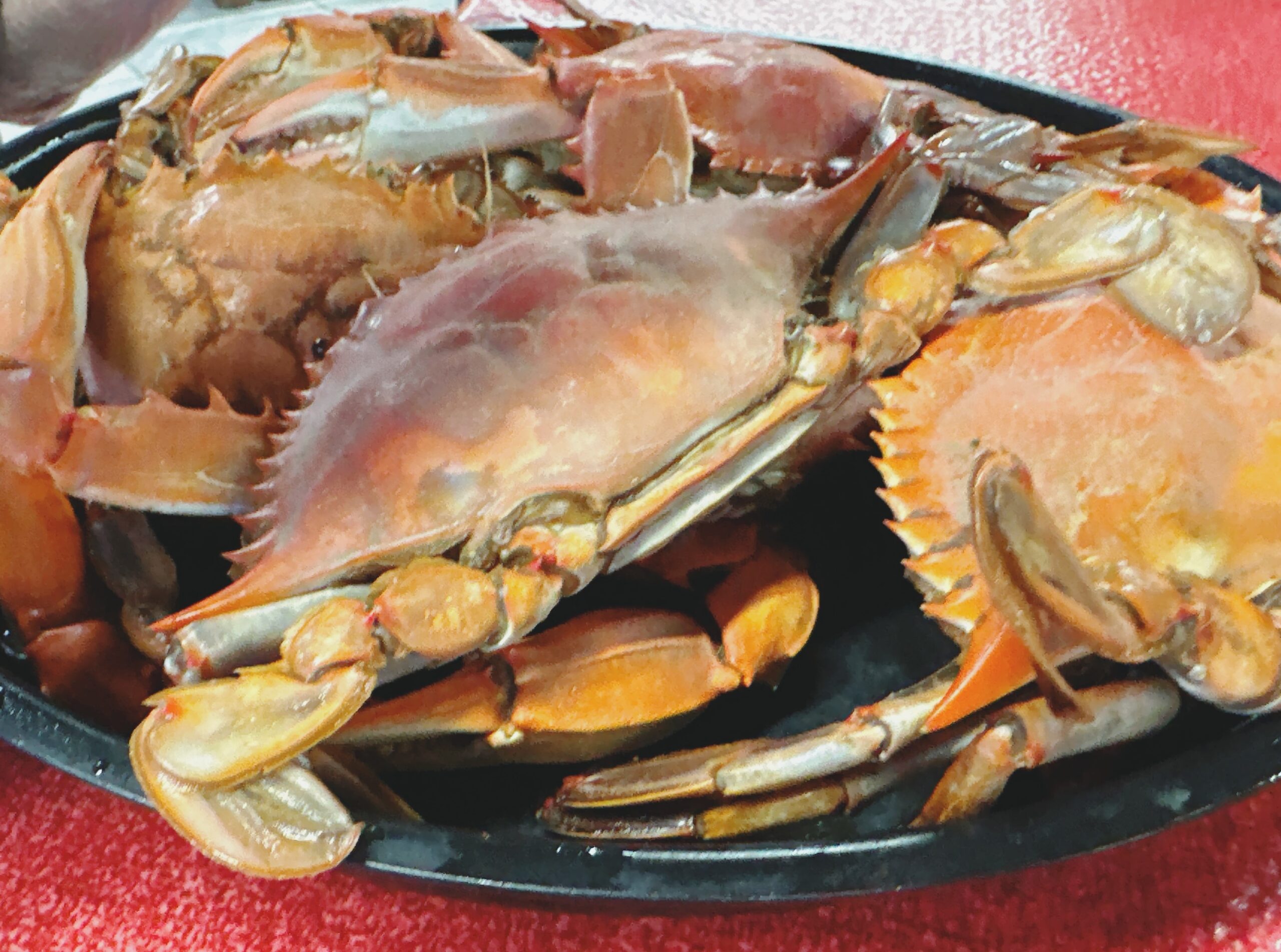 A plate with blue crabs.
