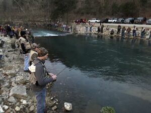 Trout season fishing
