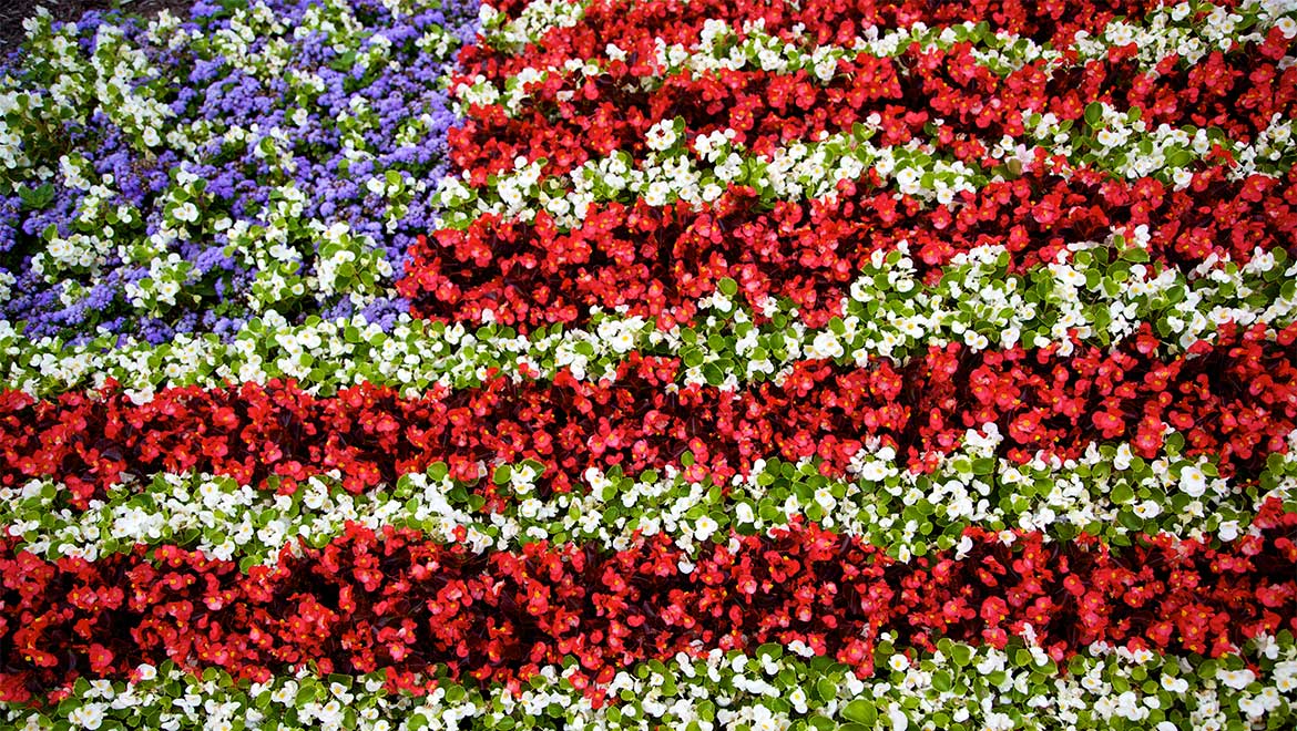 Flower flag