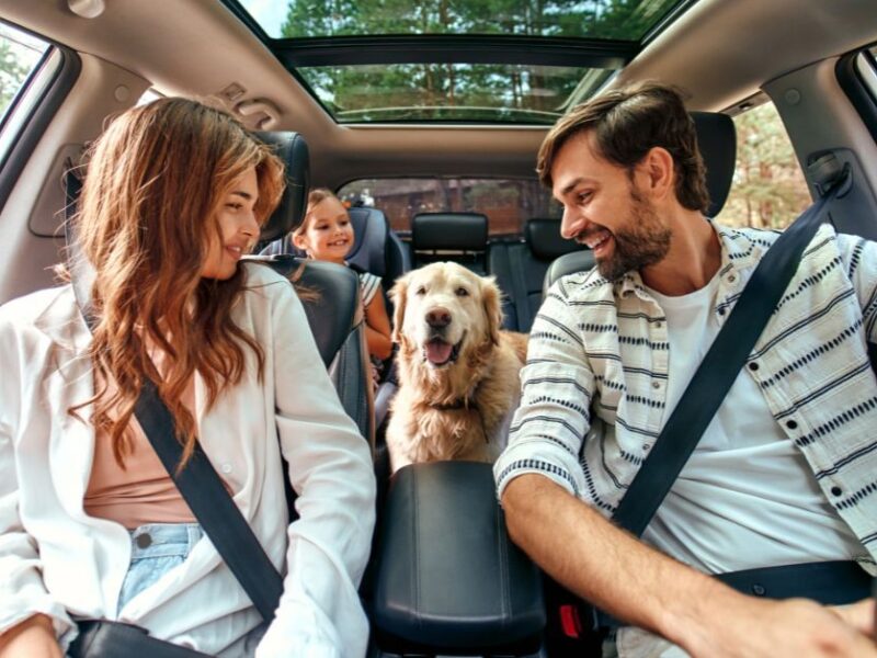 Family in the car with their dog