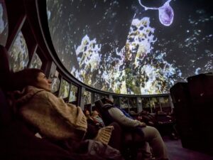 Inside a planetarium