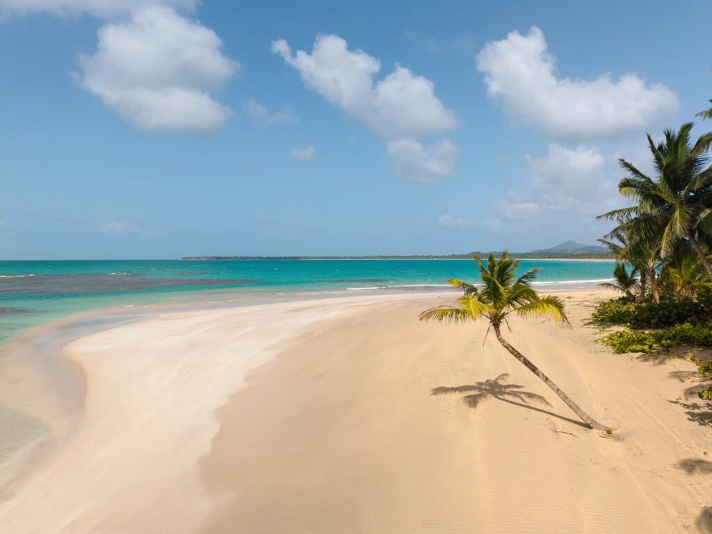 a large beach blending into the calm ocean waters with a single bent palm tree at the right