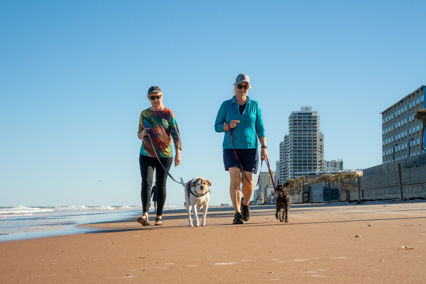 Two people and two dogs walking on the beach.