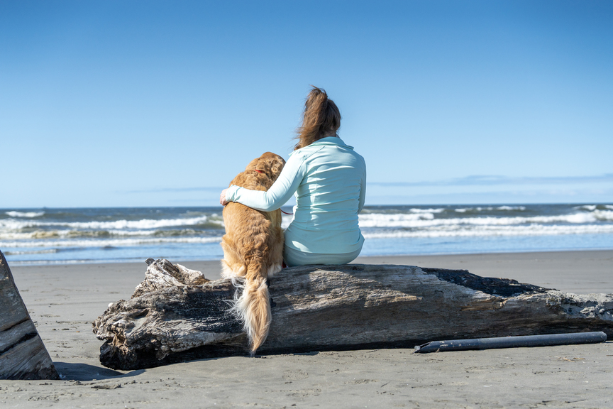 A lady and a dog sitting on a piece of deadwood.