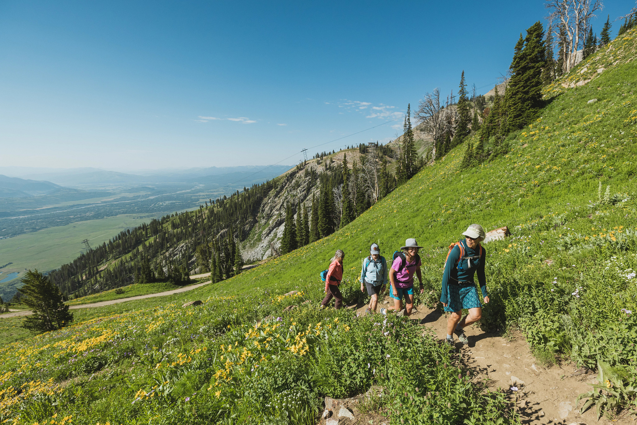 A group of people hiking.