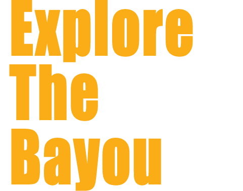 Explore The Bayou