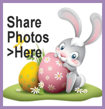 cartoon illustration of cute easter bunny with big egg