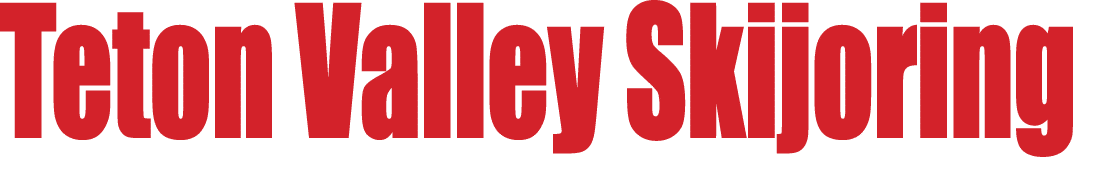 Teton Valley Skijoring 