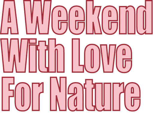 A Weekend With Love For Nature