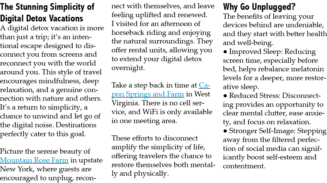 The Stunning Simplicity of Digital Detox Vacations A digital detox vacation is more than just a trip; it’s an intenti...