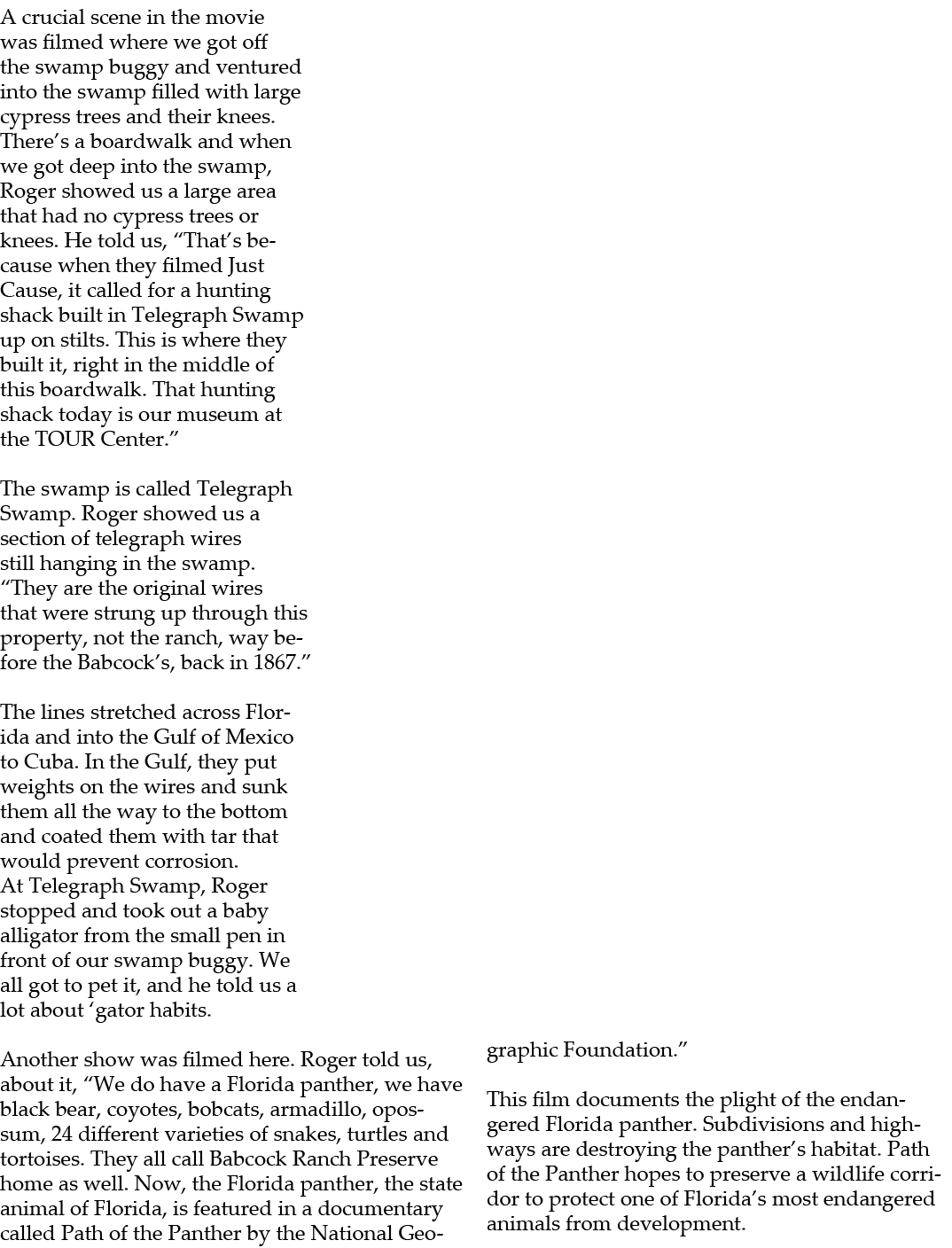 A crucial scene in the movie was filmed where we got off the swamp buggy and ventured into the swamp filled with larg...
